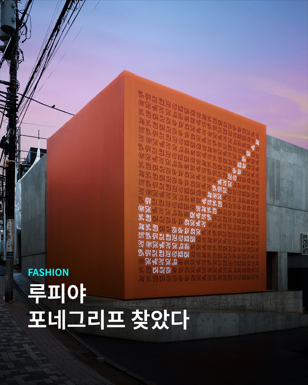 내가 찾았는데..